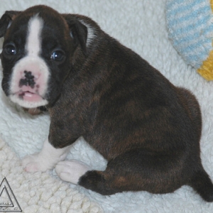 Liza_3_weeks