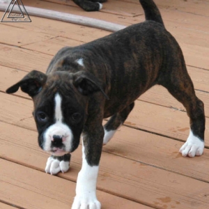 Liza_7_weeks
