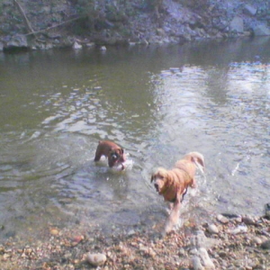 River