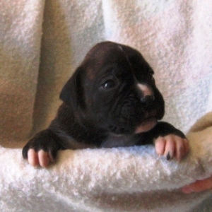 Baby Eva at 2 Weeks