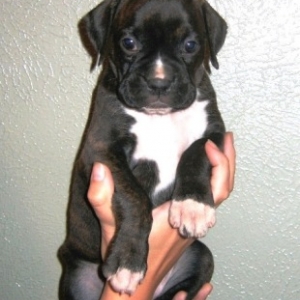 Eva at 6 Weeks