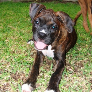 Eva at 16 Weeks!