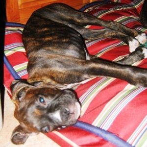New Bed