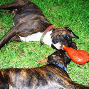 Lael & Eva Playing