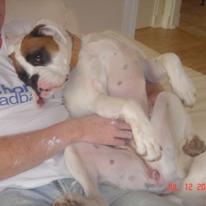 Wee Sook