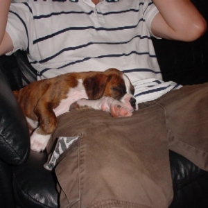 Nap