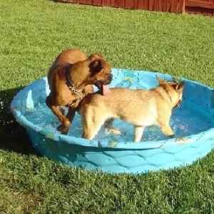 Great way to end a HOT day