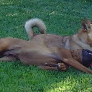 best of friends