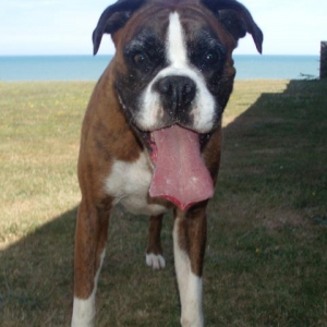 Lottie_12th_July_06