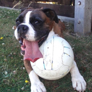 Lottie loves her football.