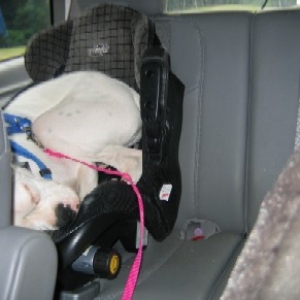 Taking a ride