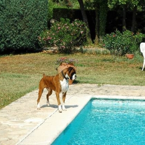 Poolside