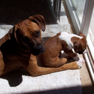 Sharin the Rays...