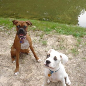 Arkansas at the pond...
