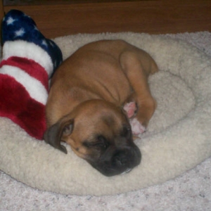 Oakley