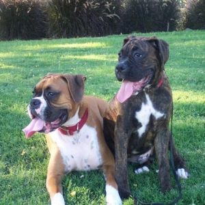 They sure love each other