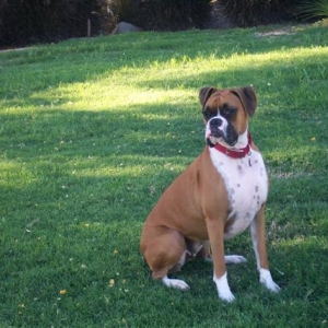My Pretty Girl