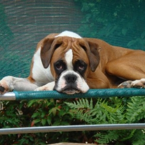 Ruby 2006