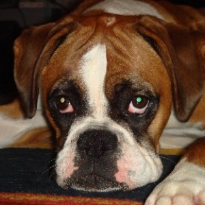 Ruby 2006