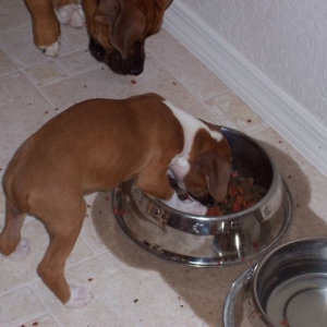My first meal