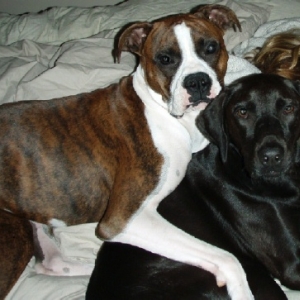 Chas and Ollie