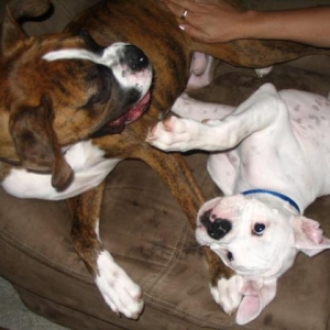 Play Play Play