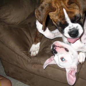 Let me give you kisses