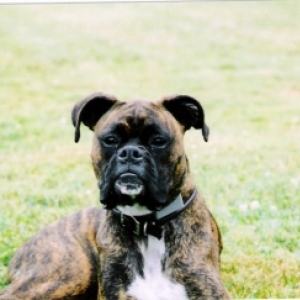 Handsome Boy!