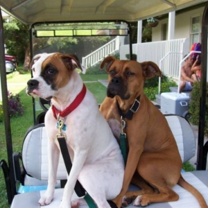 Mable and Chloe gone to the beach