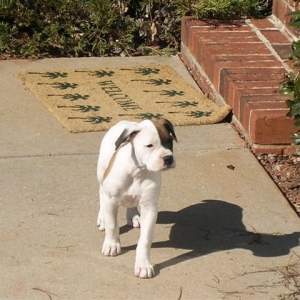 Mable 9 weeks