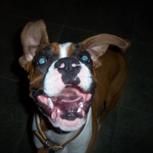Cheese!
