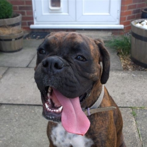 Lola & her comedy tongue :)