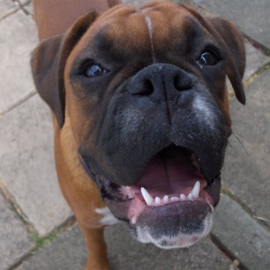 Zeb saying hi