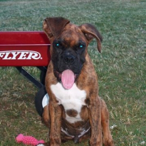 tongue shot
