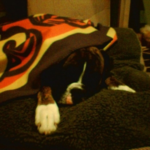 Naptime