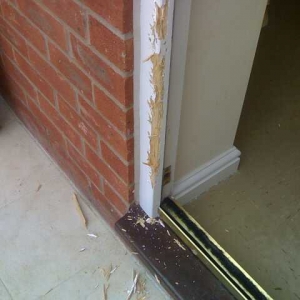 Bailey took a liking to the door frame.....