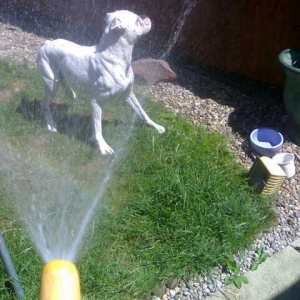 Gotcha!!!!!!