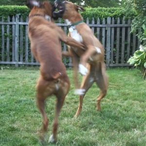 Dancing....