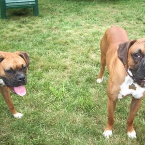 Reggie and Sugar Ray