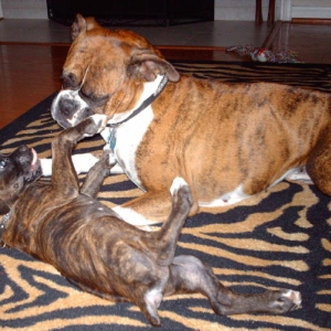 Boodan and Sugga Playin