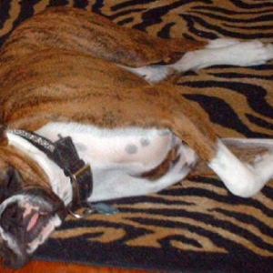 Crashed out