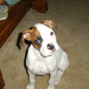 Matilda 11 weeks
