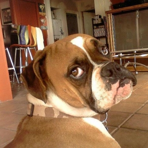 My Ronin!  (Whatcha lookin' at)