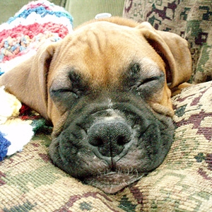 Innocent Little Tyson