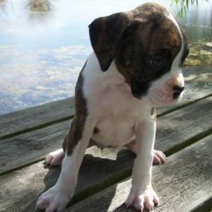 7 Weeks