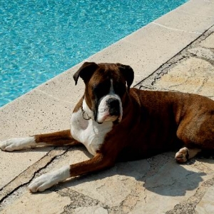 Sunbathing