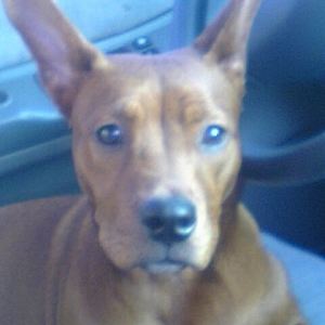 Roxy Girl