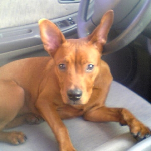 Front Seat Girl