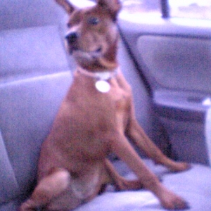 Such a lady! haha