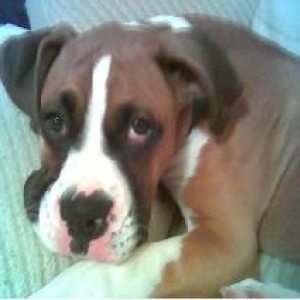 Droopy face